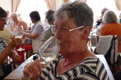 Weingut-in-Leitmeritz-P1210348-85